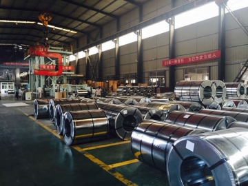 Galvanized Steel Coils and Sheets