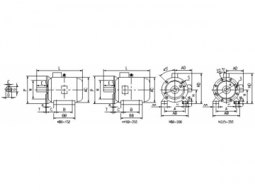 Three-Phase Induction Motor