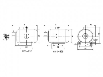 Three-Phase Induction Motor