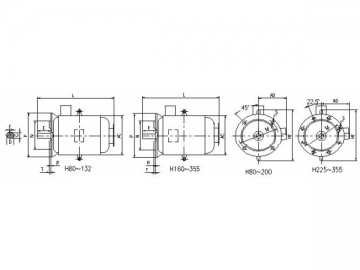 Three-Phase Induction Motor