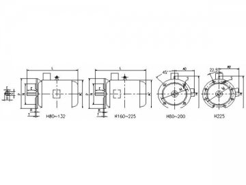 Three-Phase Induction Motor