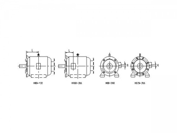 Three-Phase Induction Motor