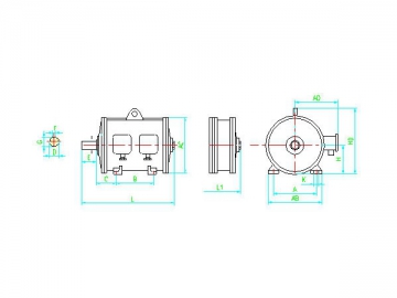 Explosion Proof Three-phase Induction Motor (for Lifting), JBZ2-H Series