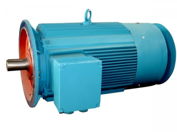Three-Phase Marine Induction Motor (for Side Thruster)