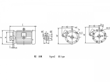 Pole-Changing Multi-Speed Three-Phase Induction Motor