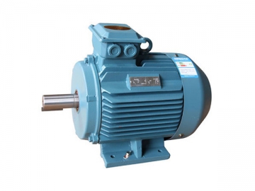 Ultra-High Efficiency Three-phase Induction Motor