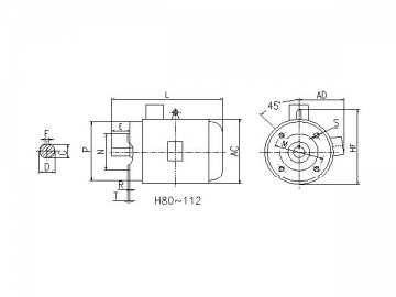 Ultra-High Efficiency Three-phase Induction Motor