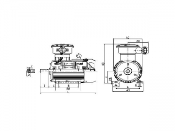 Explosion Proof Three-phase Induction Motor, YB3 Series