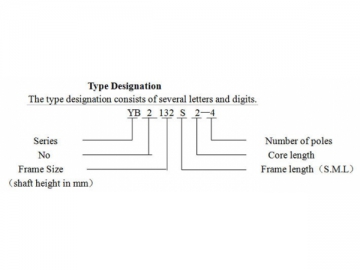 Explosion Proof Three-phase Induction Motor, YB2 Series