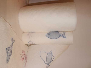 Toilet Paper and Kitchen Towel Packing Line
