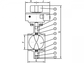 Butterfly Valve