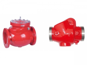 Check Valve