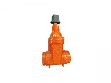 Gate Valve