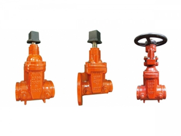 Gate Valve