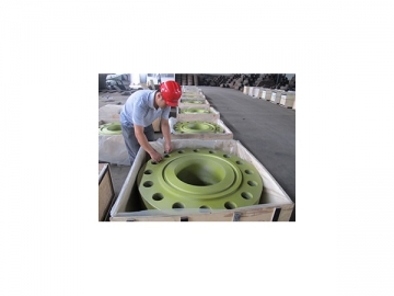 Weld Neck Flange