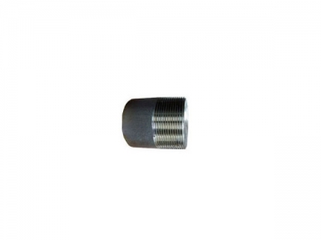 Threaded Plug