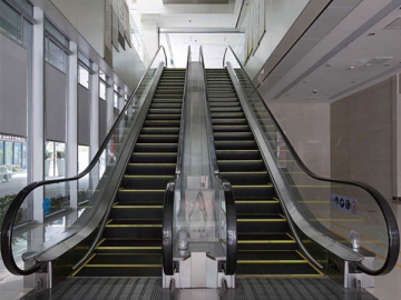 Escalator & Moving Walkway