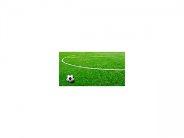MS TT Series Artificial Grass