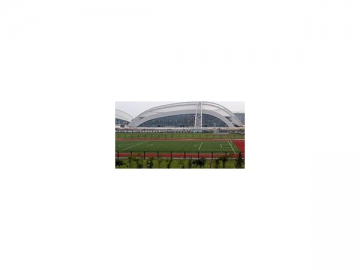 MS TT Series Artificial Grass