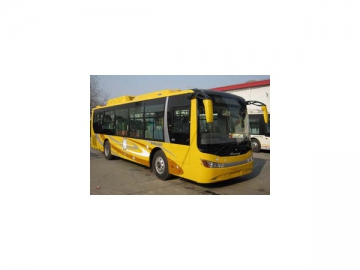 Stock Buses Stock Buses