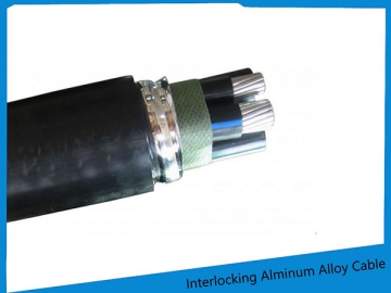 XLPE Insulated PVC Sheathed Aluminum Alloy Cable