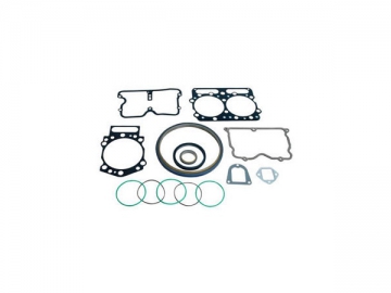 SEALS AND GASKETS (OIL SEAL AND GASKET SET)