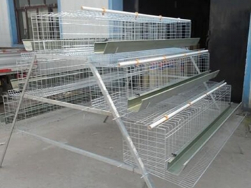 Chicken Cage