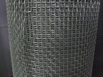 Galvanized Wire Mesh