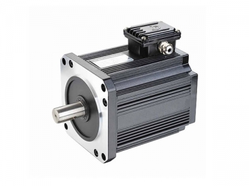 Three-Phase Low-Speed AC Induction Motor
