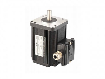 Low-Speed PM DC Variable Frequency Motor