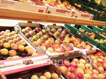 Vegetable Fruit Cold Storage Vegetable Fruit Cold Storage