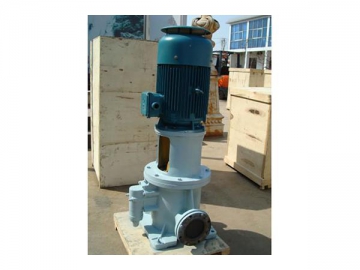 Vertical Internal Gear Pump