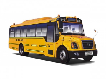 DD6100C05FX School Bus