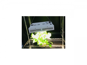 White LED Lighting LED Plant Grow Light White LED Lighting LED Plant Grow Light