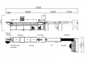 300A  Egg Processing  Line with Cleaning & Grading (3000 EGGS/HOUR)