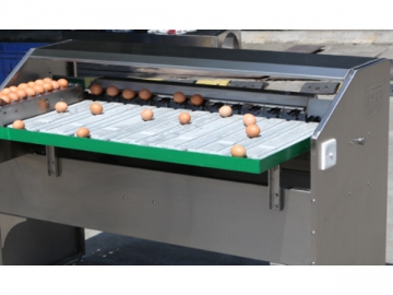 300A  Egg Processing  Line with Cleaning & Grading (3000 EGGS/HOUR)