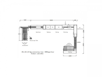 301A Egg Processing  Line with Cleaning & Grading (5000 EGGS/HOUR)