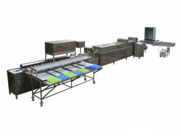 302AS  Egg Processing  Line with Cleaning & Grading (10000 EGGS/HOUR)