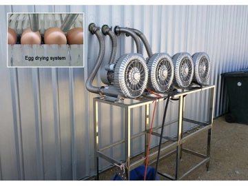 302AS  Egg Processing  Line with Cleaning & Grading (10000 EGGS/HOUR)