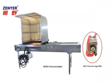 302A Egg Processing Line with Cleaning, Grading & Packaging (10000 EGGS/HOUR)