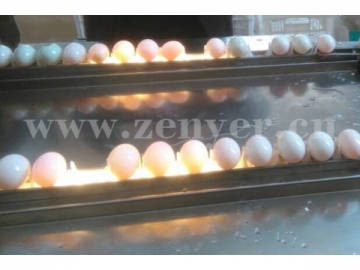 303B Egg Processing Line with Cleaning & Grading (20000 EGGS/HOUR)